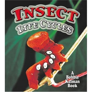 Insect Life Cycles