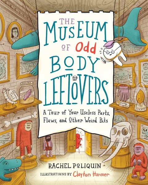 Museum Of Odd Body Leftovers: A Tour Of Your Useless Parts, Flaws, And Other Weird Bits, The