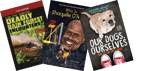 Below Level High Interest Nonfiction (R-V) Grade 6