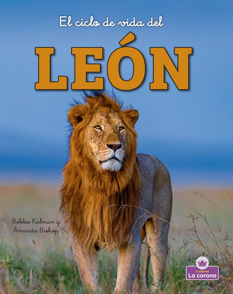 El Ciclo De Vida Del Leon (The Life Cycle Of A Lion)
