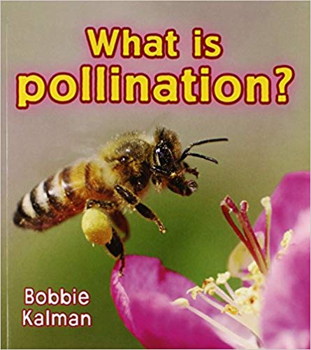 What Is Pollination?