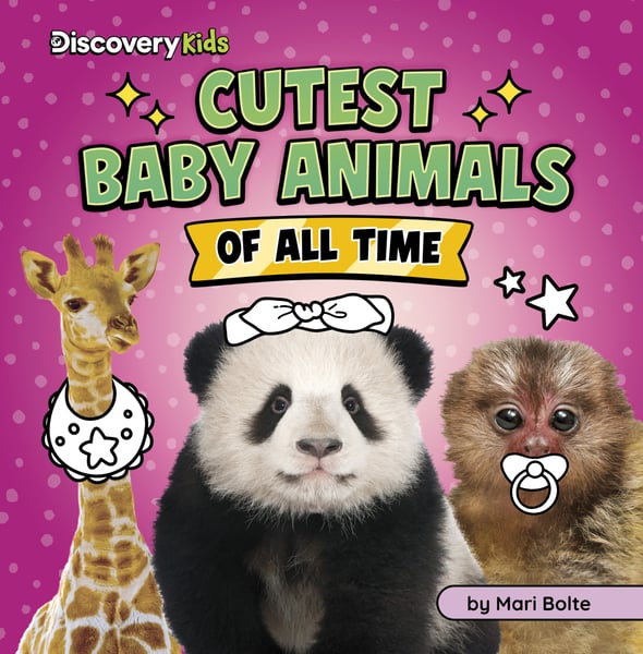 Cutest Baby Animals Of All Time