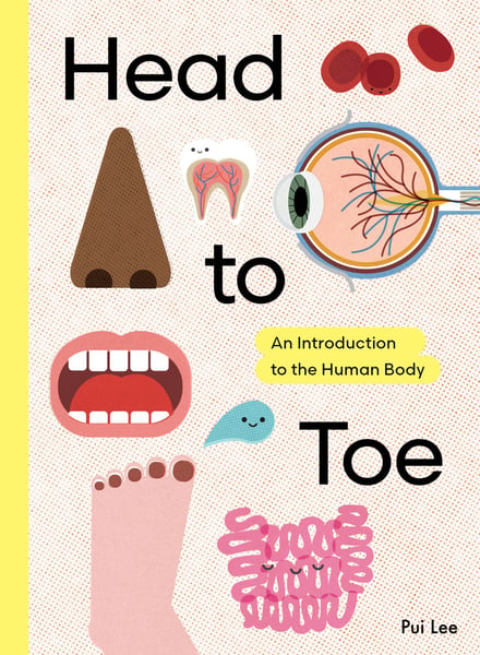Head To Toe: An Introduction To The Human Body