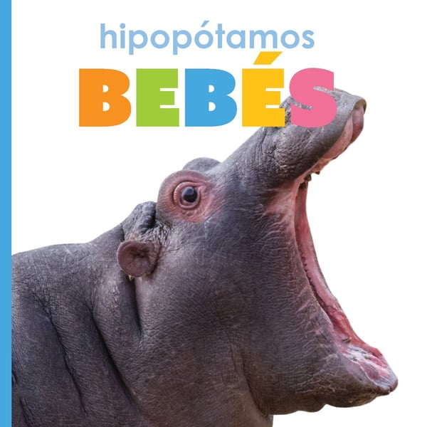 Hipopotamos Bebes (Baby Hippopotamus)