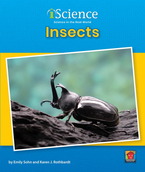 Insects: Which One Doesn't Belong?