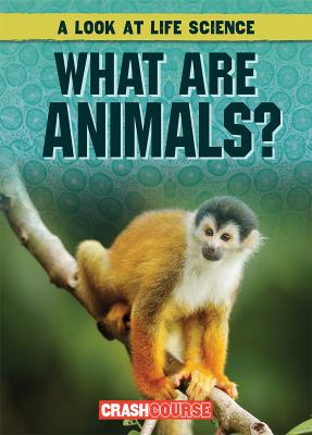 What Are Animals?