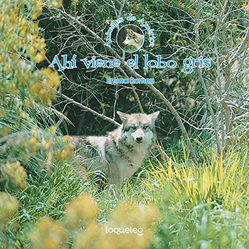 Ahi Viene El Lobo Gris (Here Comes The Grey Wolf)