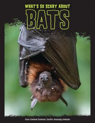 What's So Scary About Bats?