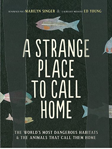 Strange Place To Call Home, A