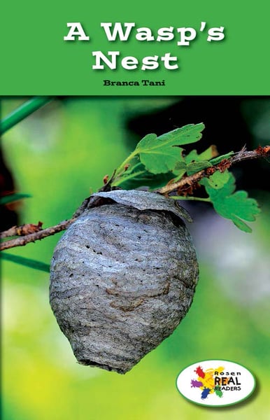 Wasp's Nest, A