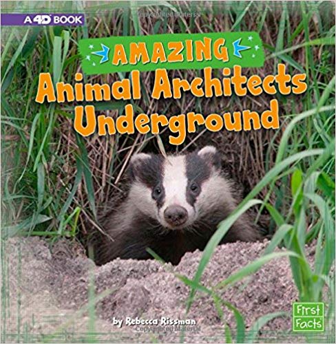 Amazing Animal Architects Underground: A 4D Book