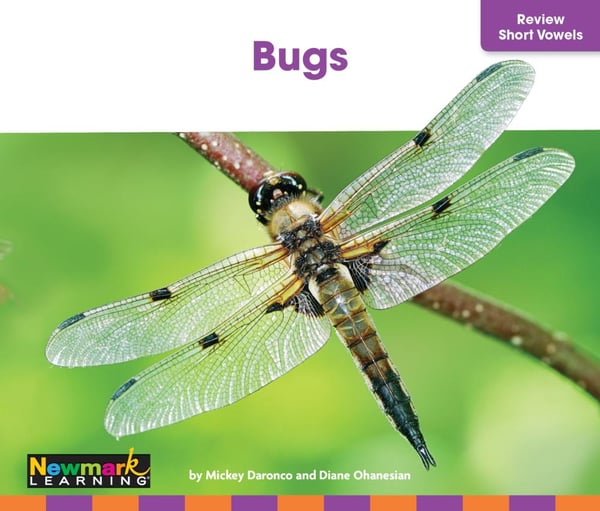 Bugs