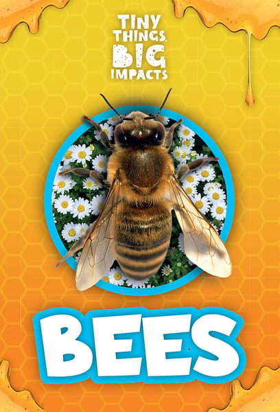 Bees