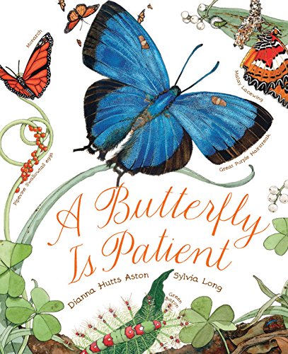 Butterfly Is Patient, A
