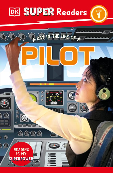 Day In The Life Of A Pilot, A