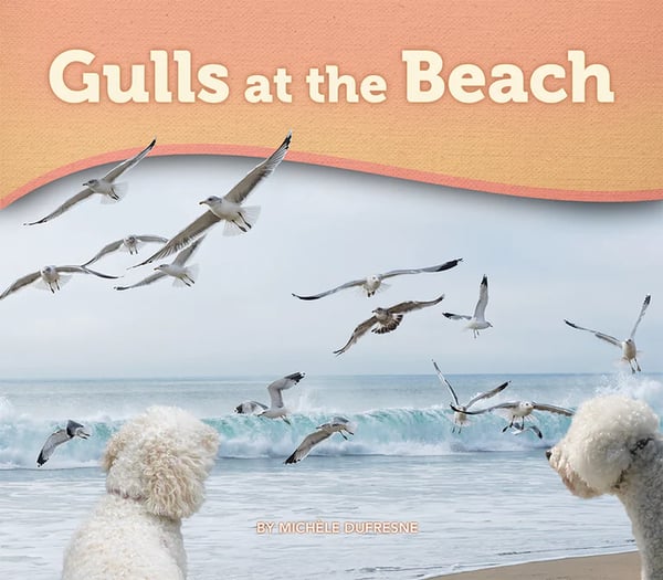 Gulls At The Beach