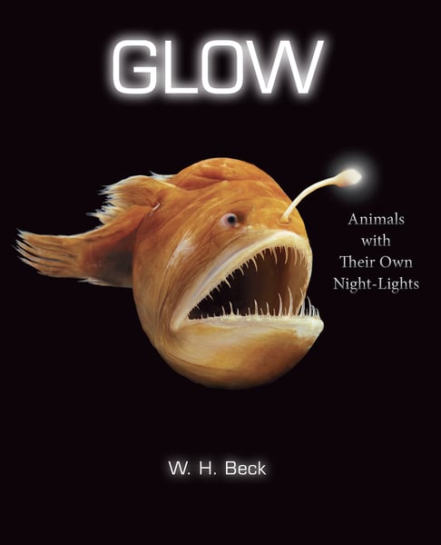 Glow: Animals With Their Own Night Lights