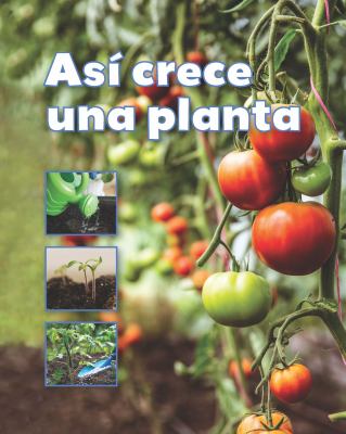 Asi Crece Una Planta (A Plant Grows)