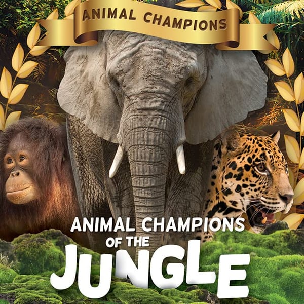 Animal Champions Of The Jungle