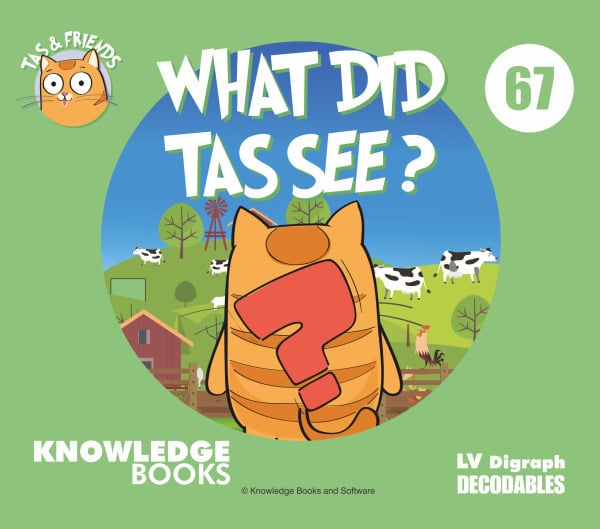 What Did Tas See?
