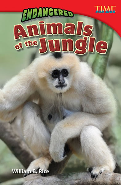Endangered Animals Of The Jungle