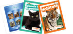 Grade 3 and Beyond Series to Support the UFLI Scope & Sequence