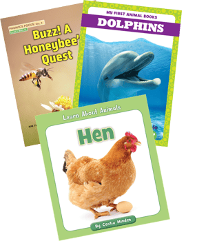 Animals (A-D) Kindergarten