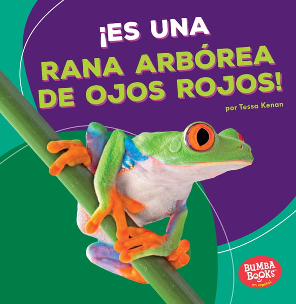 Es Una Rana Arborea De Ojos Rojos (It's A Red-Eyed Tree Frog)
