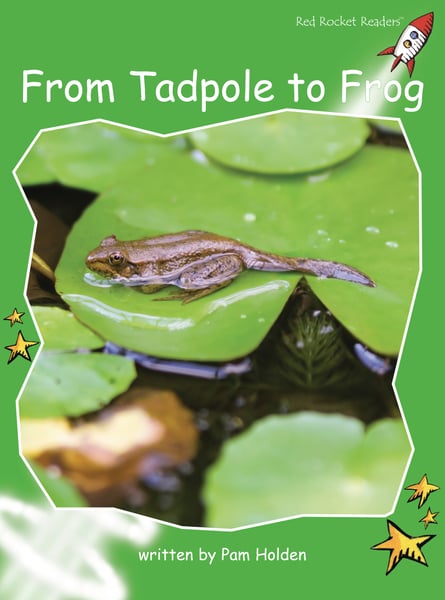 From Tadpole To Frog (Big Book)