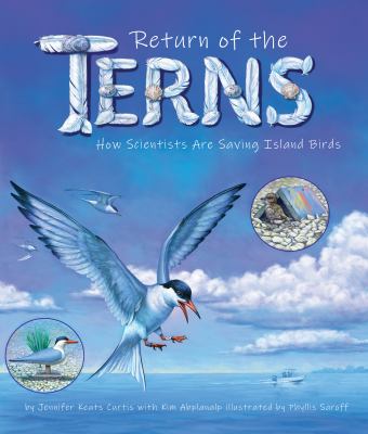 Return Of The Terns: How Scientists Are Saving Island Birds