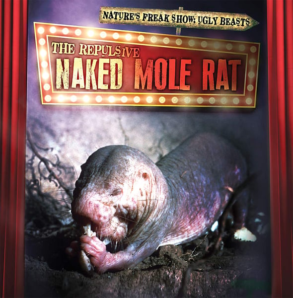 Repulsive Naked Mole Rat, The