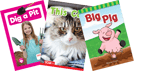 Phonics Take Home Pack, Kindergarten Short I