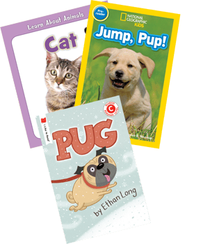 Bestsellers Intervention Lexile Level Grades 4-5 (BR90L-180L)