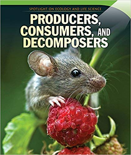 Producers, Consumers, And Decomposers
