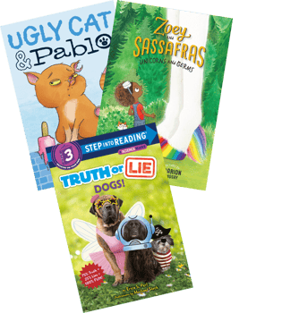 New York City Take Home Pack, Grade 3 On Level N-P