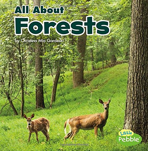 All About Forests