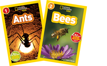 Fishtank Learning ELA Grade 2 Alternate Unit 2: Awesome Insects (Class Set)