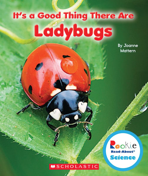 It's A Good Thing There Are Ladybugs