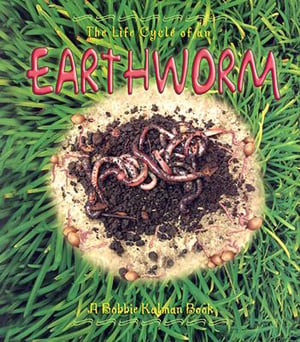 Life Cycle Of An Earthworm, The