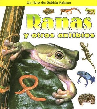 Ranas Y Otros Anfibios (Frogs And Other Amphibians)