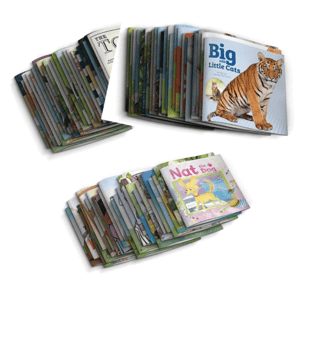 Pioneer Valley Phonics Storybooks