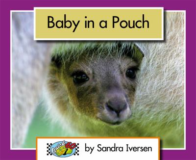 Baby In A Pouch