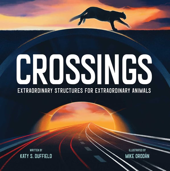 Crossings: Extraordinary Structures For Extraordinary Animals