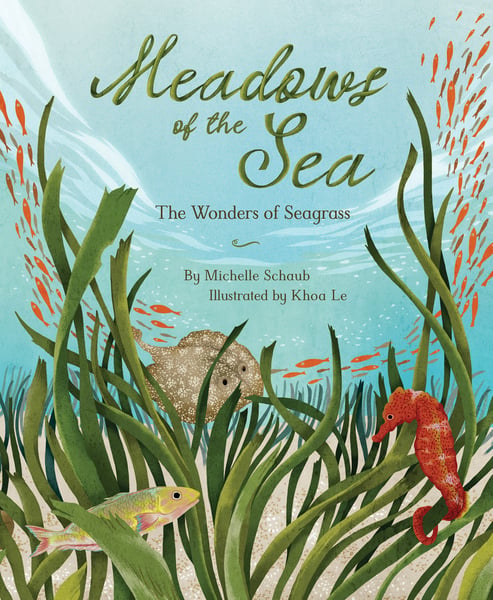 Meadows Of The Sea: The Wonders Of Seagrass