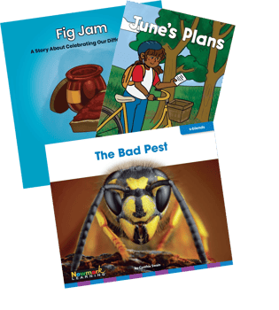Amplify CKLA Skills Grade 1 Unit 3 Tricky Words