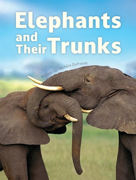 Elephants And Their Trunks