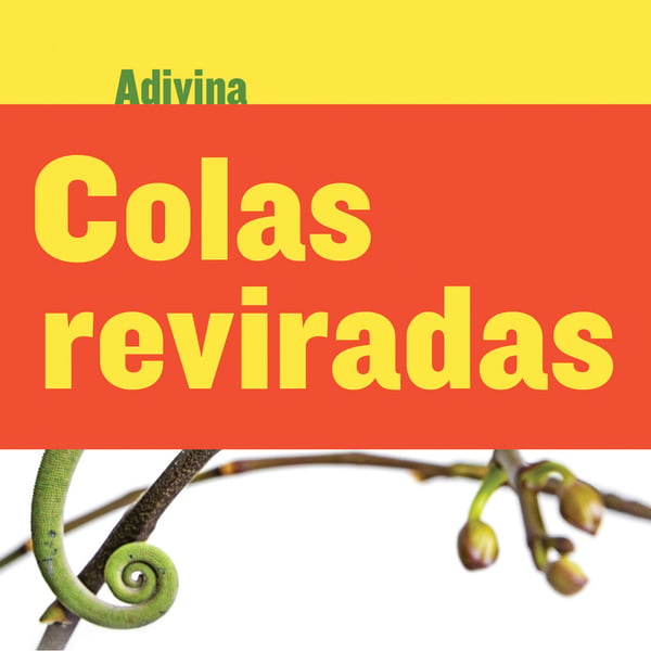 Colas Enroscadas (Twisty Tails)