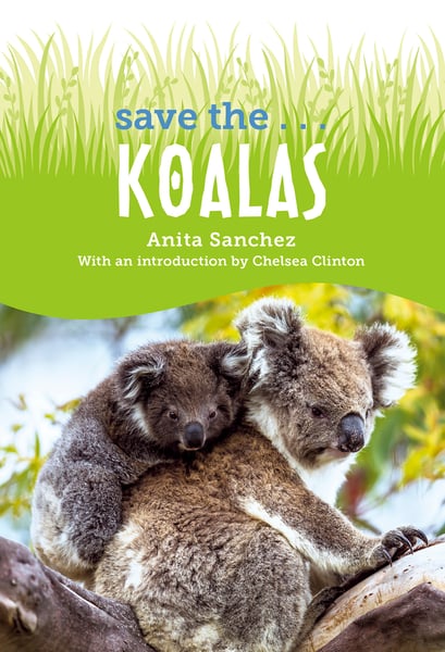 Save The Koalas