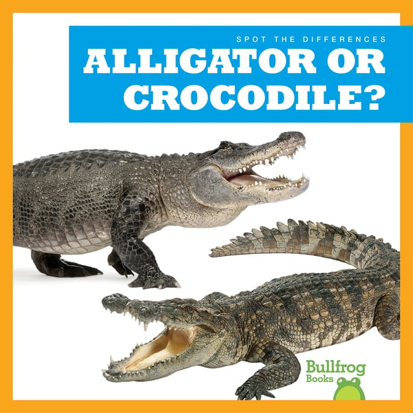 Alligator Or Crocodile?