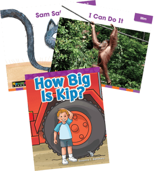 Amplify CKLA Skills Kindergarten Unit 6 Tricky Words